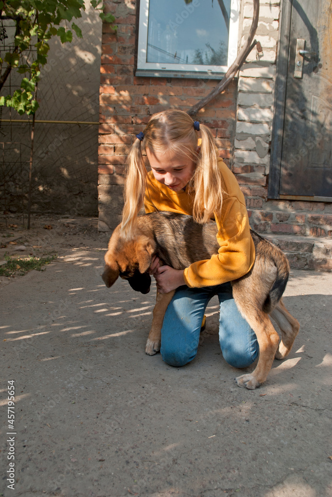 A cute teenage girl in bright clothes plays with a dog. German shepherd puppy and its owner. Friendship of a child and a dog. 