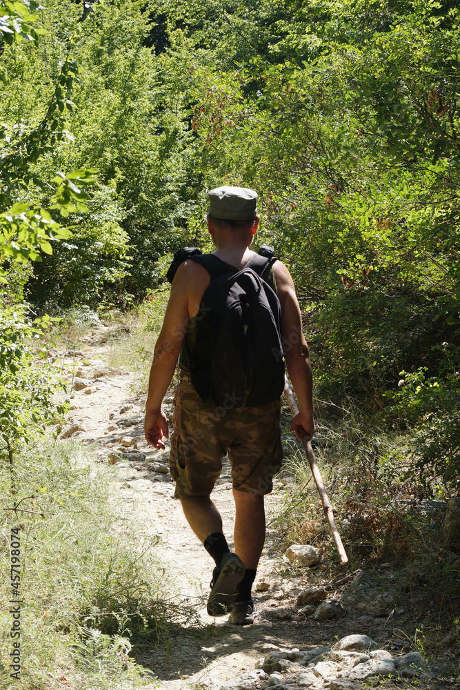 A man with a backpack and a walking stick is walking along a trail in the forest, traveling alone. Hiking trip