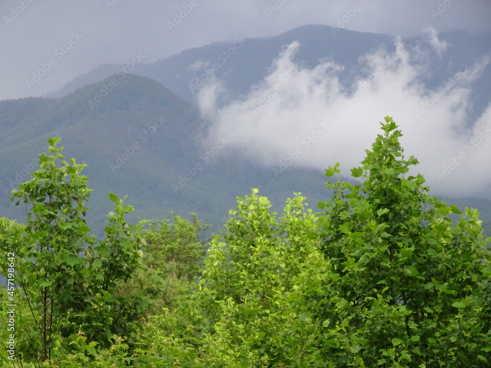 Great Smoky Mountains National Park Tennessee Great Smoky Mountains National Park Tennessee