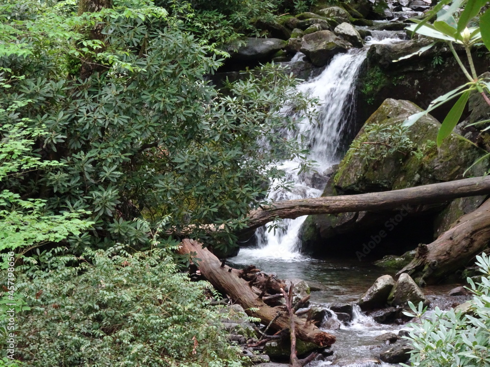 Fototapeta premium Great Smoky Mountains National Park Tennessee