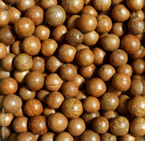 Top view of Pile of macadamia nuts in their shells  on a market stall