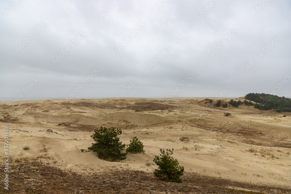 View of sand dunes of Curonian Spit, Kurshskaya Kosa National Park, Curonian Lagoon and the Baltic Sea, Kaliningrad, Russia