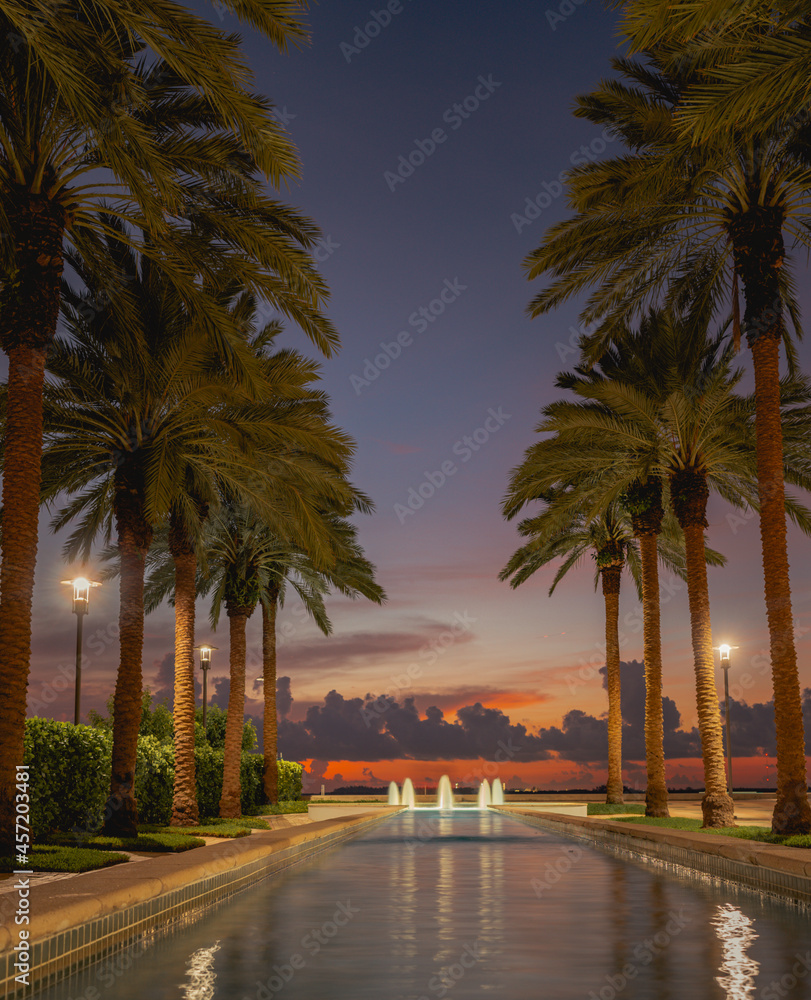 trees at sunrise water fountain palms Brickell Miami 