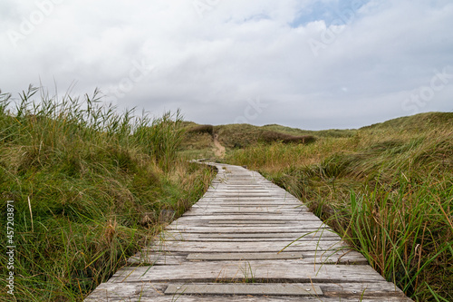 Fototapeta Naklejka Na Ścianę i Meble -  Boardwalk through the dunes in Lille Norge in Saltum in Denmark