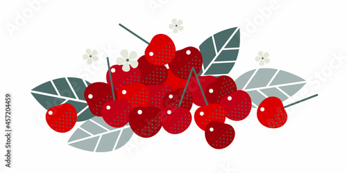 Cherry fruits. Flat illustration. Ripe berries, leaves and flowers.