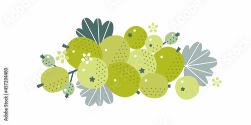 Gooseberry fruits. Flat illustration. Ripe berries, leaves and flowers.
