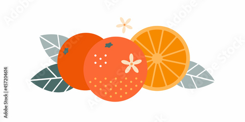 Orange fruit. Flat illustration. Whole and cut fruits, leaves and flowers.