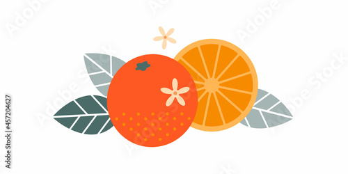 Orange fruit. Flat illustration. Whole and cut fruits, leaves and flowers.