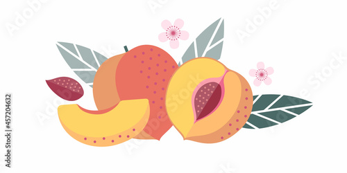 Peach fruits. Flat illustration. Whole and cut fruits, leaves, peach pits and flowers.