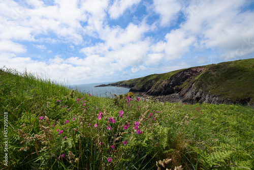 Pembrokeshire Coastal Path near Solva