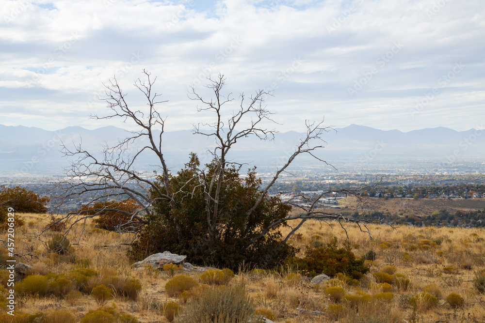 Fototapeta premium View from Bear Canyon hiking trail, Utah
