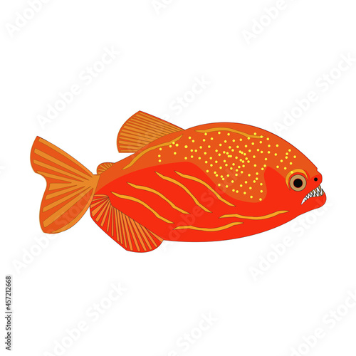Animal pez la piraña  Pez de río   vector
