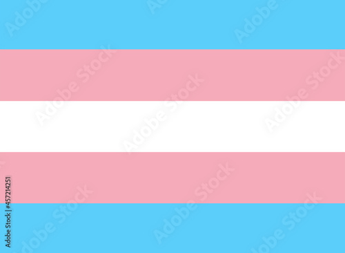 LGBTQ + Transgender Flag for the rights of pride and sexuality Vector