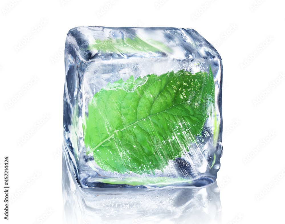 Mint leaf in ice cube isolated on white background with clipping path. Mint leaf in ice cube isolated on white background with clipping path.