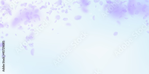 Violet flower petals falling down. Flawless romant