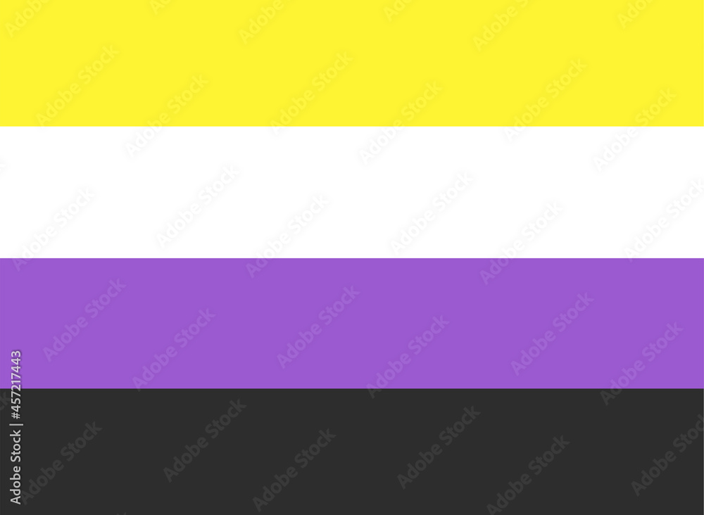 LGBTQ + Non-Binary Flag for the rights of pride and sexuality Vector