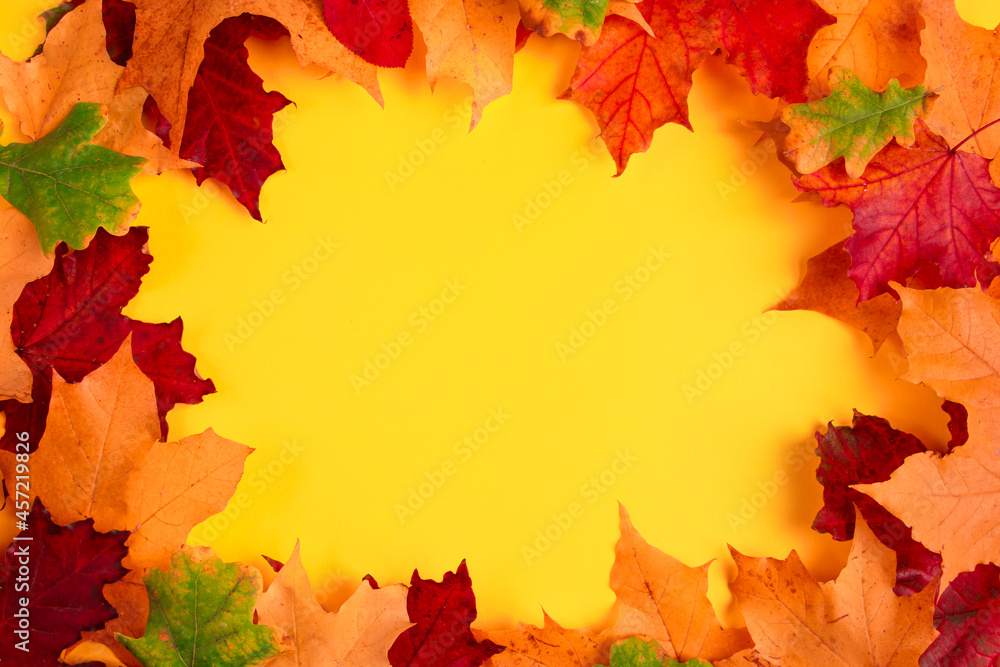 Frame from fallen autumn maple leaves on a bright yellow background. Colorful fall foliage. Backdrop for design. Frame from fallen autumn maple leaves on a bright yellow background. Colorful fall foliage. Backdrop for design.