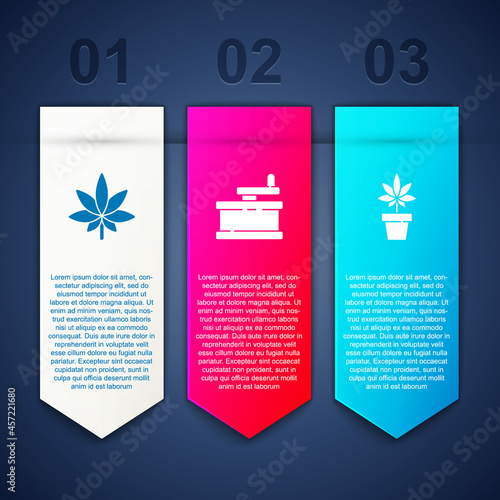 Set Marijuana or cannabis leaf, Manual grinder and plant. Business infographic template. Vector