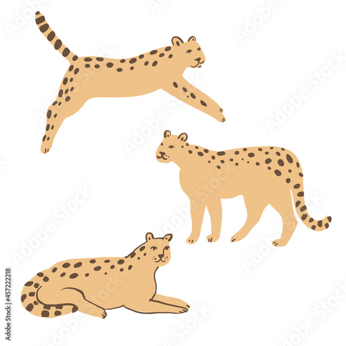 Vector leopards set. Wild animals in naive style