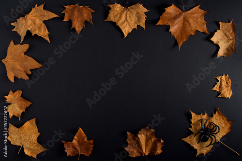 Orange pumping on black background with leaves and black spider. Aesthetic frame copy space bacground.