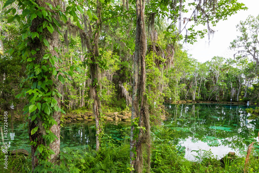 Three Sisters Springs in Crystal River, Florida, USA Three Sisters Springs in Crystal River, Florida, USA