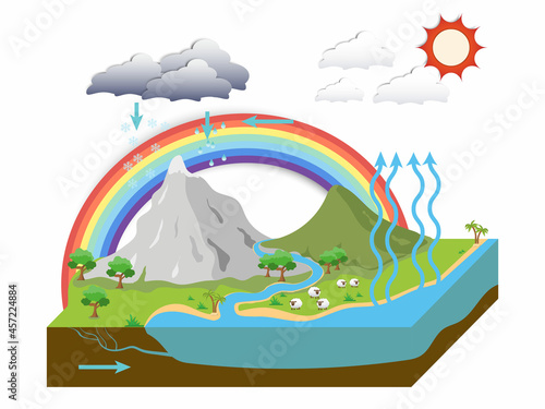 the water cycle illustration infographic, Natural phenomena in the meadow with rainbow. vector esp10 photo