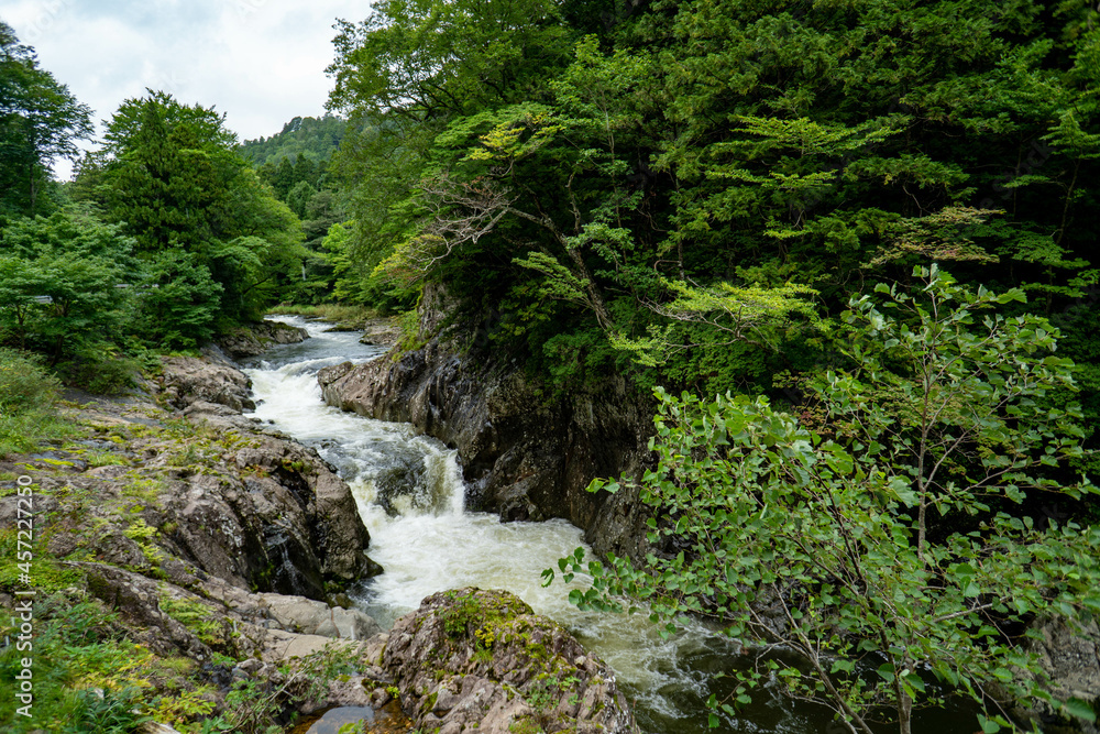 foggy river of the Ohata river.located at shimokitahanto in Aomori perf.landscape of Japan