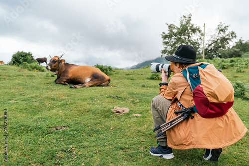 Female photographer in an orange coat and hat taking a picture of a cow in a meadow.