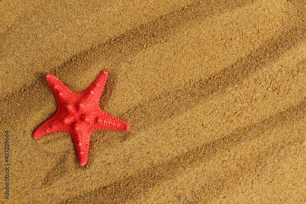 A starfish lies on the sand with a place for your text. A starfish lies on the sand with a place for your text.