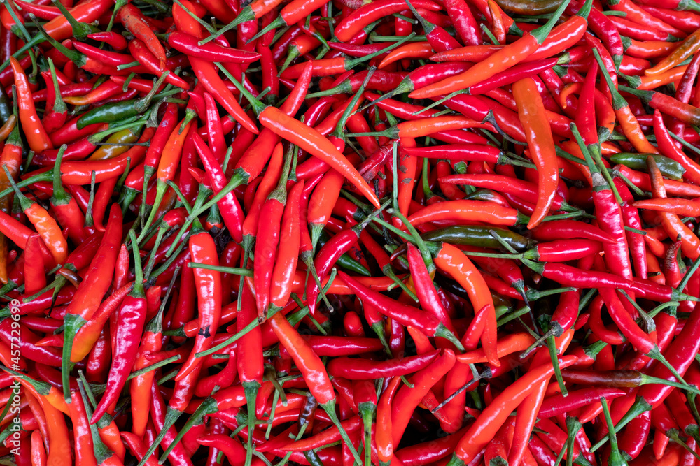 Fototapeta premium Chilli vegetable pattern for background.