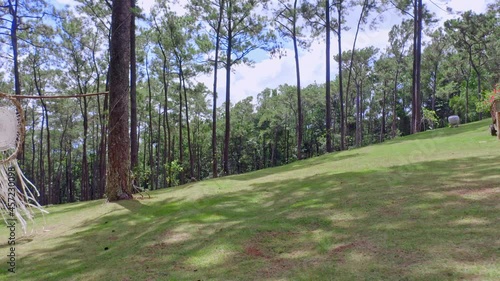 Greenery Mountain Forest With Dream Catcher Near Pet Cemetery In Jarabacoa, Dominican Republic. Zoom In photo