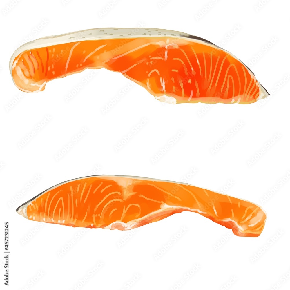 手描き水彩の鮭の切り身イラストセット Stock Illustration Adobe Stock