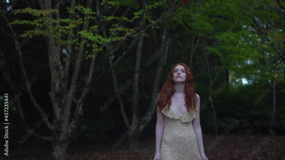 Stunning redhead wearing a dress walking through the forrest in the evening, searching for love, hope and innocence, fashion and elegance. Walking through garden trees, Elegance and desire Stunning redhead wearing a dress walking through the forrest in the evening, searching for love, hope and innocence, fashion and elegance. Walking through garden trees, Elegance and desire