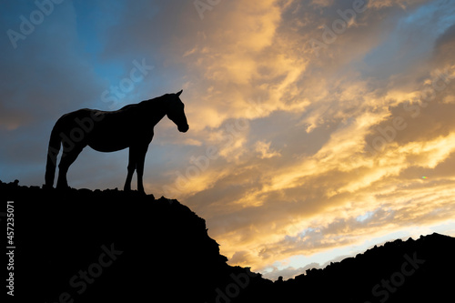 horse silhouette on rock with sunset in background