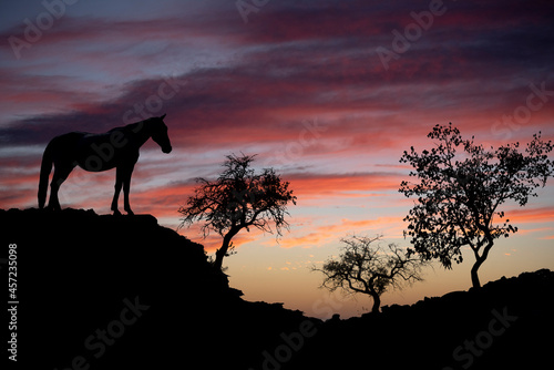 horse silhouette on rock with sunset in background