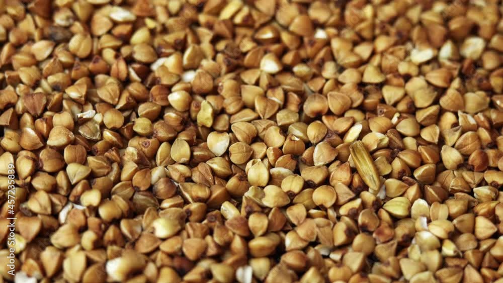 Buckwheat groats close-up rotating as a restaurant backdrop, common buckwheat is seeds Fagopyrum tataricum Buckwheat groats close-up rotating as a restaurant backdrop, common buckwheat is seeds Fagopyrum tataricum
