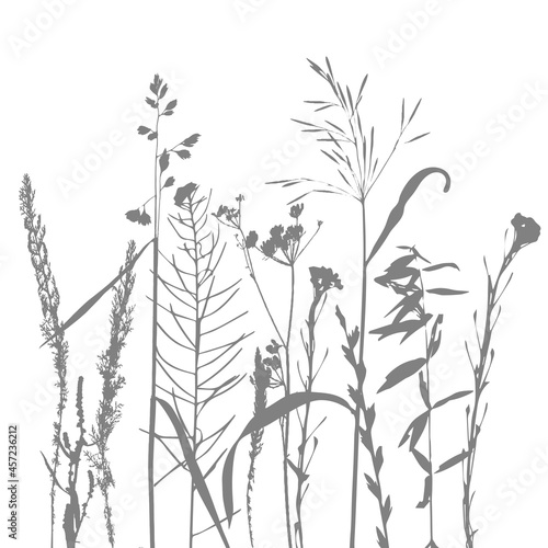 Fototapeta Naklejka Na Ścianę i Meble -  Vector template with leaves and plants monochrome silhouettes, floral background