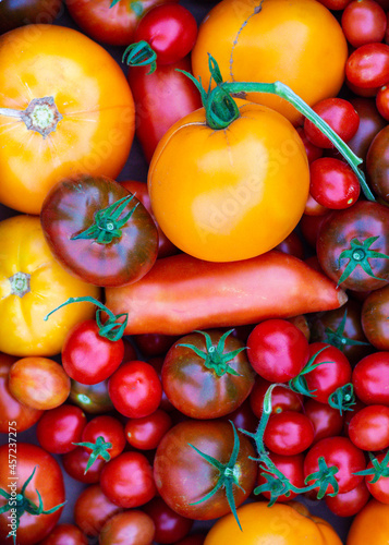 Fresh tomatoes of different varieties top view. Autumn and harvest. Food background with tomato texture. Autumn harvest and fresh tomato cooking concept. Healthy food. High quality photo