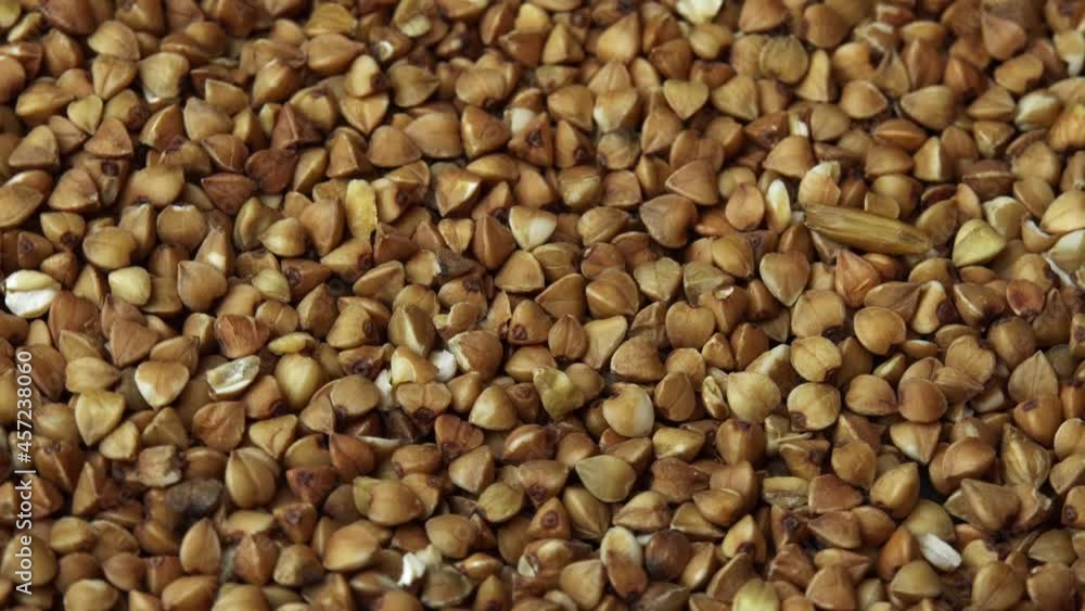Buckwheat groats close-up rotating as a restaurant backdrop, common buckwheat is seeds Fagopyrum tataricum Buckwheat groats close-up rotating as a restaurant backdrop, common buckwheat is seeds Fagopyrum tataricum
