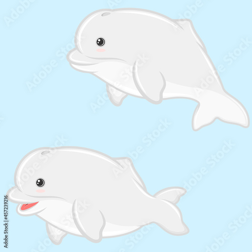 Beluga illustration in cartoon shape
