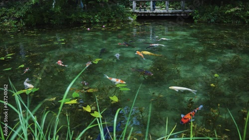 Beautiful Monet's Pond, a nameless pond that resembles a painting in Gifu Japan