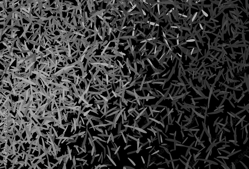 Dark Gray vector background with straight lines. Dark Gray vector background with straight lines.
