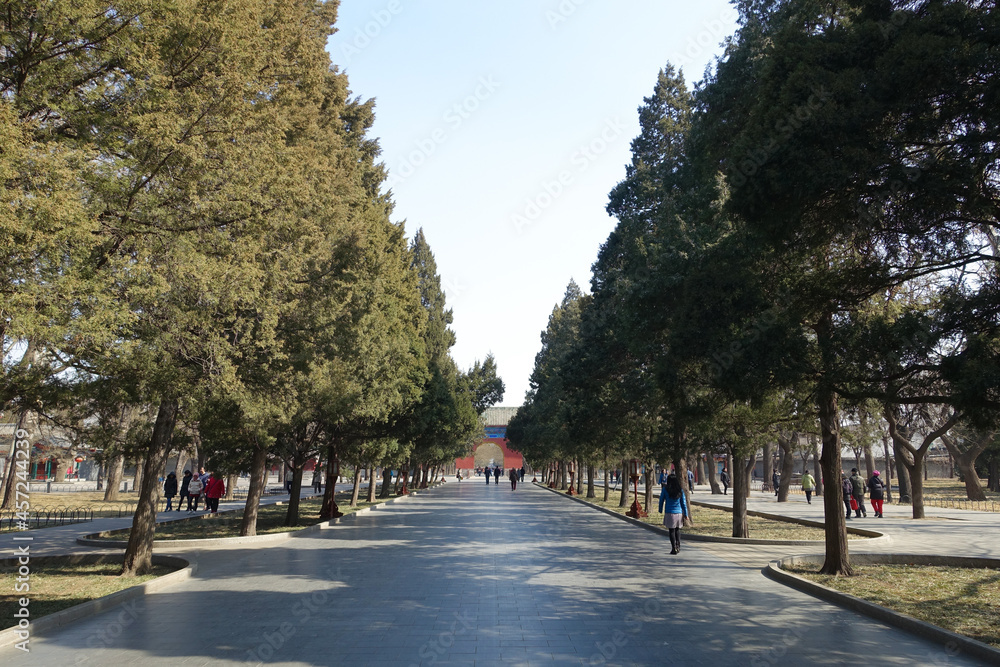 Fototapeta premium 中国 北京の街角の美しい風景