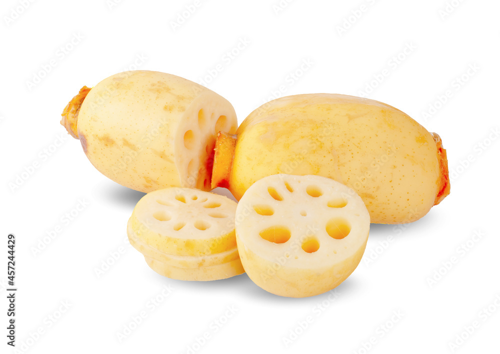 Lotus root isolated on white background Lotus root isolated on white background