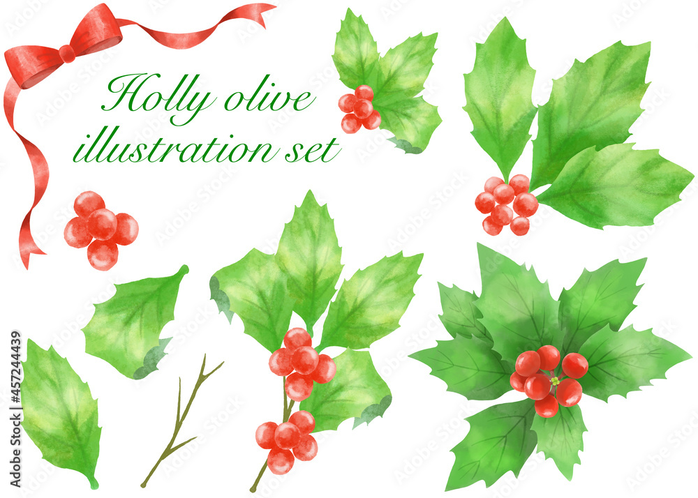 柊の素材イラストセット/Holly olive material illustration set 柊の素材イラストセット/Holly olive material illustration set
