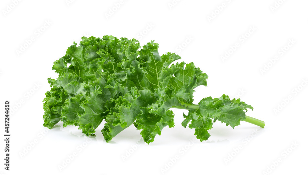 Fototapeta premium Kale leaf salad vegetable isolated on white background