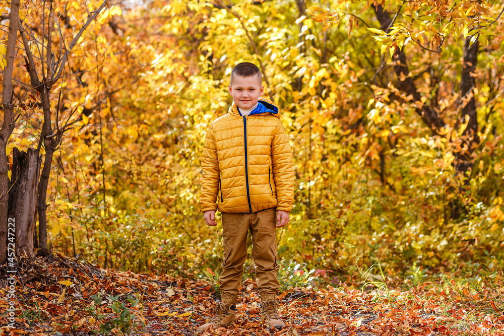 an eight-year-old boy in golden jacket stands against the backdrop of a beautiful autumn forest an eight-year-old boy in golden jacket stands against the backdrop of a beautiful autumn forest