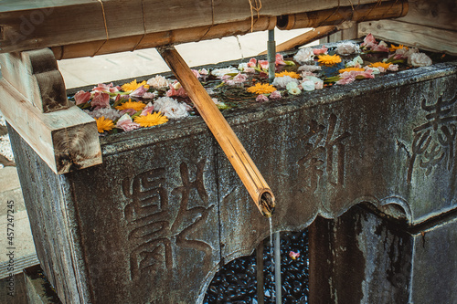 jinja shrine in Tokyo, Japan hatonomori hachiman august 2021 photo