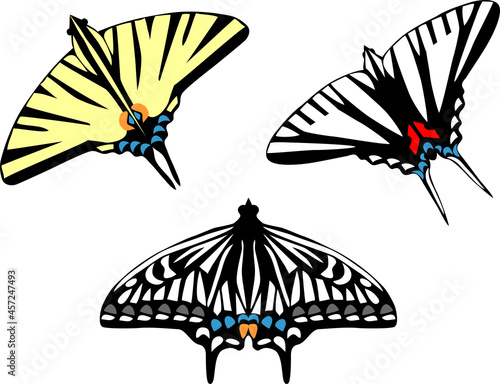 Swallowtail butterfly - stylized vector illustration