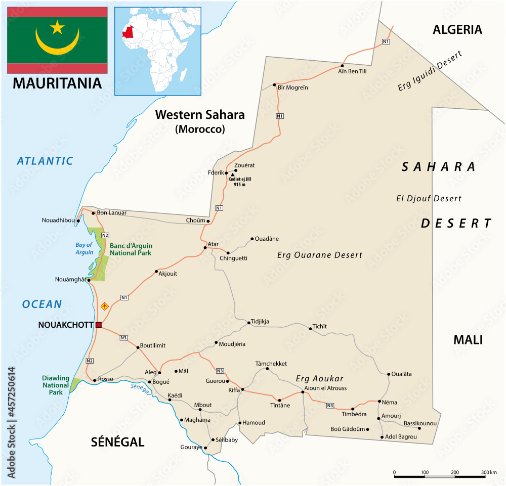 mauritania vector road map with flag mauritania vector road map with flag